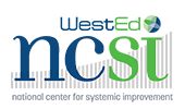 Logo: NCSI